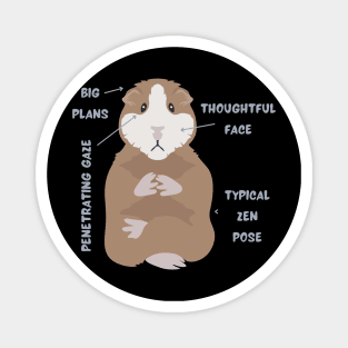 Anatomy Of A Guinea Pig With Funny Labels Magnet